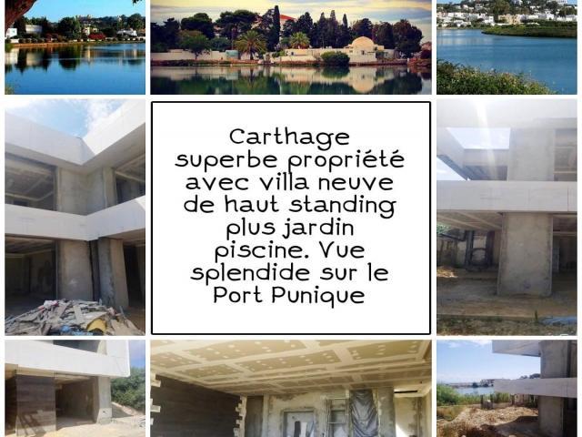 Carthage superbe propriété avec villa neuve - 1