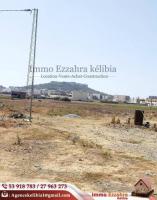 Deux terrains avec vue sur la Tour de Kelibia