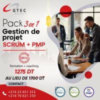 Pack 3 en 1 – Gestion de Projet : SCRUM + PMP