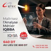 Formation Business Analyst Certifié IQBBA®