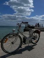 Mobylette Motobecane 1954 - Collection - Papiers complets